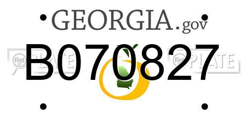 B070827 Georgia License Plate