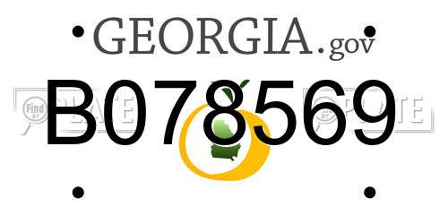 B078569 Georgia License Plate