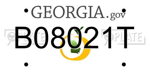 B08021T Georgia License Plate