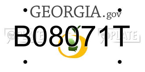 B08071T Georgia License Plate