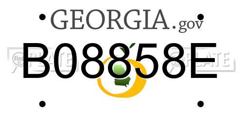B08858E Georgia License Plate