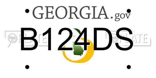 B124DS Georgia License Plate