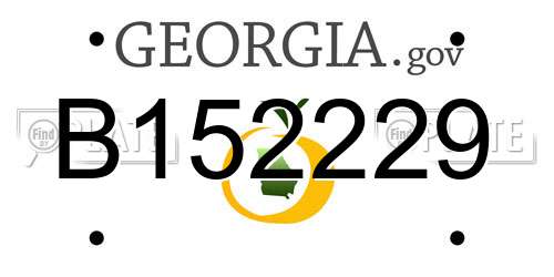 B152229 Georgia License Plate