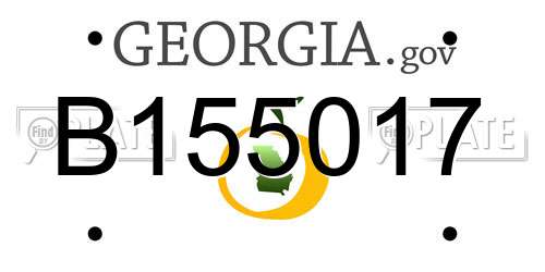 B155017 Georgia License Plate