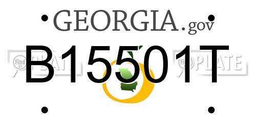 B15501T Georgia License Plate