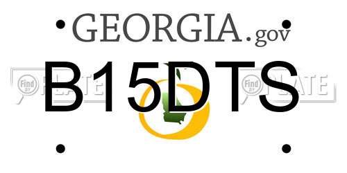 B15DTS Georgia License Plate