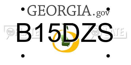 B15DZS Georgia License Plate