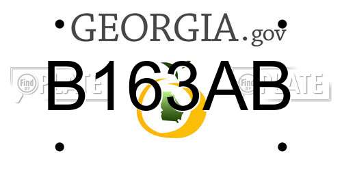 B163AB Georgia License Plate