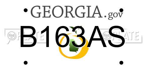 B163AS Georgia License Plate