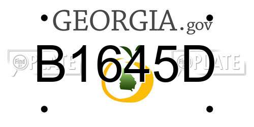 B1645D Georgia License Plate