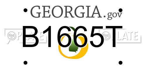 B1665T Georgia License Plate