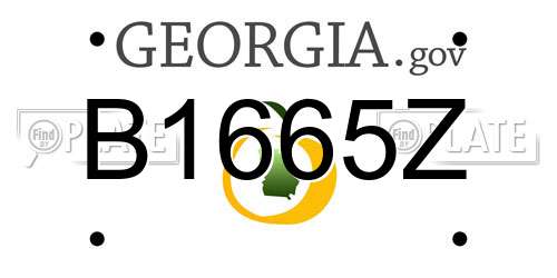 B1665Z Georgia License Plate