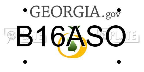 B16ASO Georgia License Plate