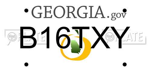 B16TXY Georgia License Plate