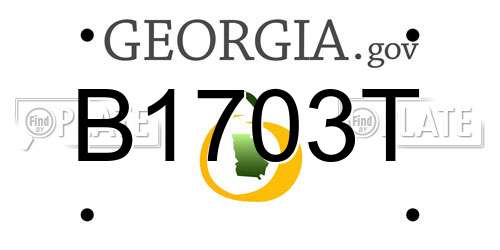 B1703T Georgia License Plate