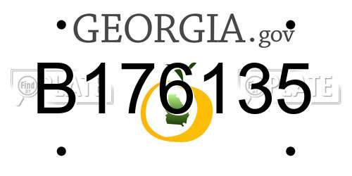 B176135 Georgia License Plate