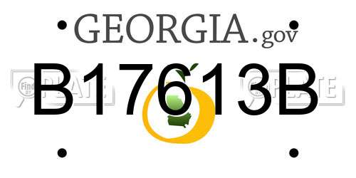 B17613B Georgia License Plate