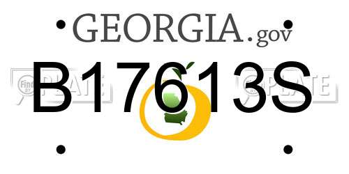 B17613S Georgia License Plate
