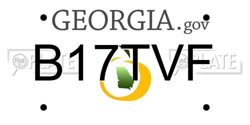 B17TVF Georgia License Plate