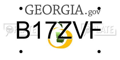 B17ZVF Georgia License Plate