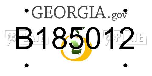 B185012 Georgia License Plate