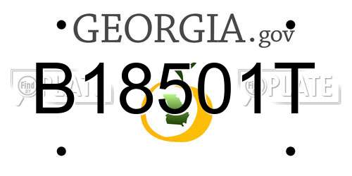 B18501T Georgia License Plate