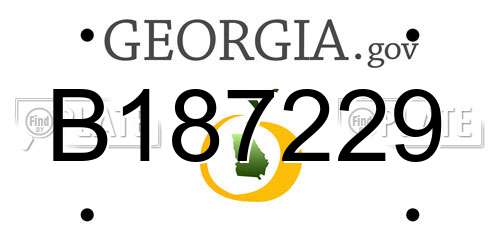 B187229 Georgia License Plate