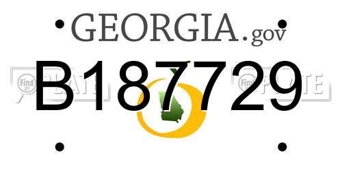 B187729 Georgia License Plate