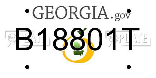 B18801T Georgia License Plate