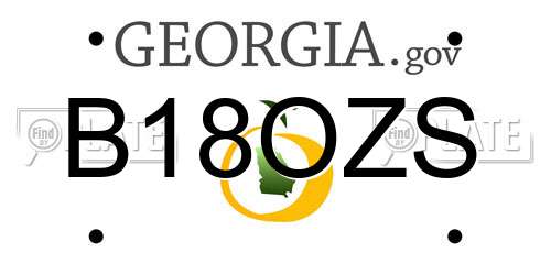 B18OZS Georgia License Plate