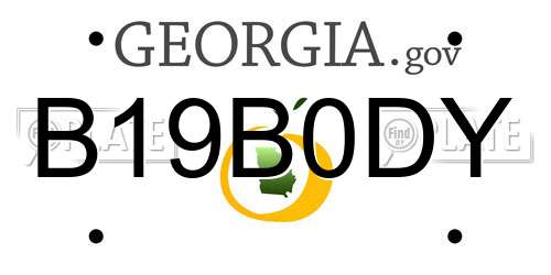 B19B0DY Georgia License Plate