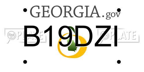 B19DZI Georgia License Plate
