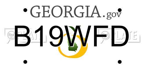 B19WFD Georgia License Plate
