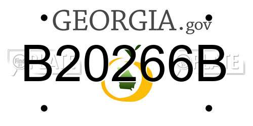 B20266B Georgia License Plate