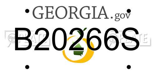 B20266S Georgia License Plate