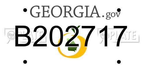 B202717 Georgia License Plate