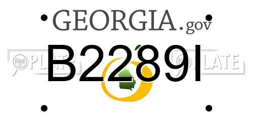B2289I Georgia License Plate