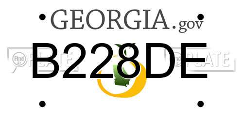 B228DE Georgia License Plate