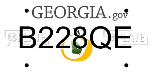 B228QE Georgia License Plate