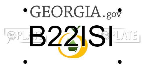 B22ISI Georgia License Plate