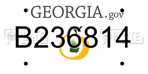 B236814 Georgia License Plate