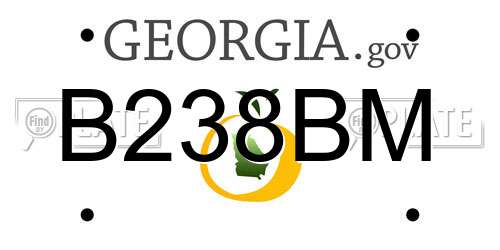B238BM Georgia License Plate
