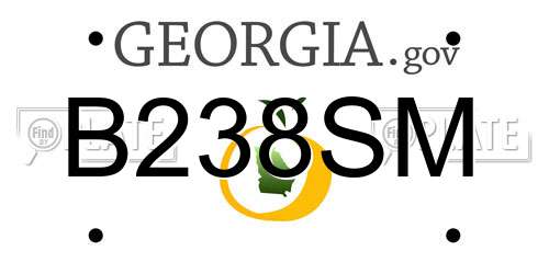 B238SM Georgia License Plate