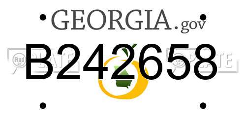B242658 Georgia License Plate