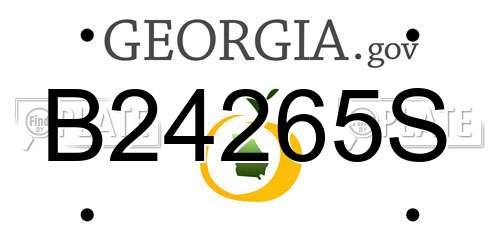 B24265S Georgia License Plate