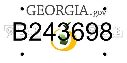 B243698 Georgia License Plate