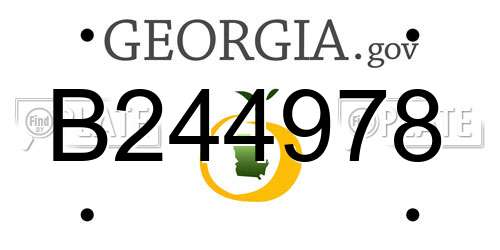 B244978 Georgia License Plate