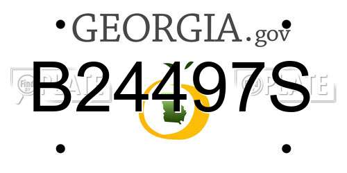 B24497S Georgia License Plate