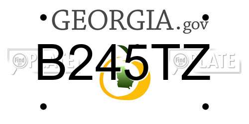 B245TZ Georgia License Plate
