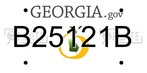 B25121B Georgia License Plate